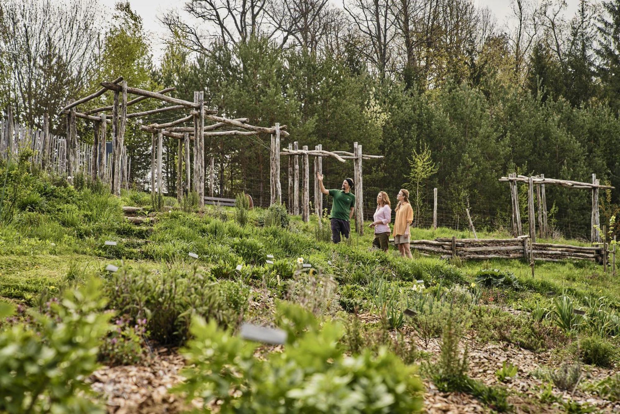 Falkensteiner Balance Resort Stegersbach - Adults Only ภายนอก รูปภาพ The Native American Garden